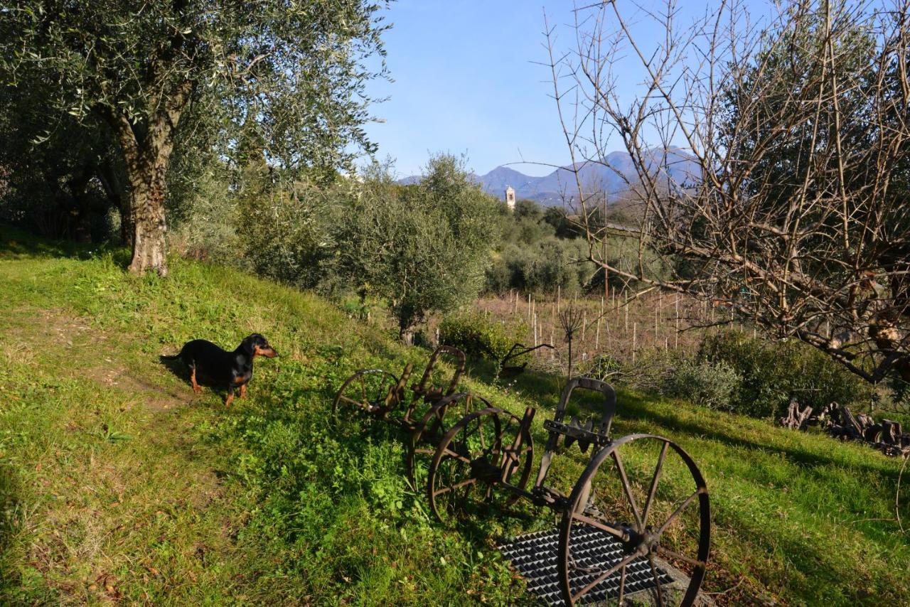 Antiche Mura Casa Vacanze 普埃尼亚戈 外观 照片